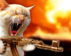 HeadShot_Deluxe